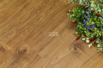 Кварцвиниловые полы FF-1500 Wood FF-1569 Дуб Клен Верден фото 1 | FLOORDEALER